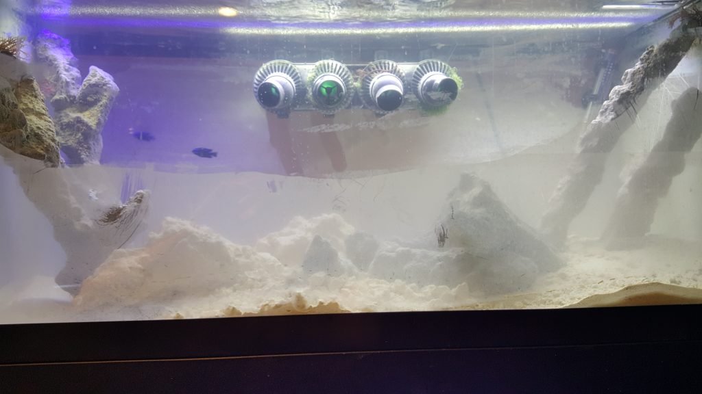 To much water flow created a sandstorm in tank